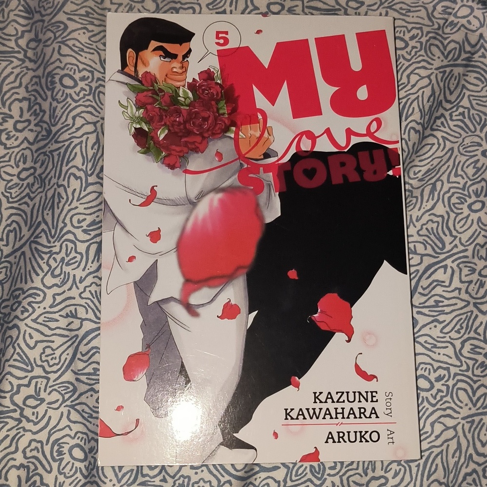 My Love Story Vol. 5 Manga Paperback - Pink & Red Cover